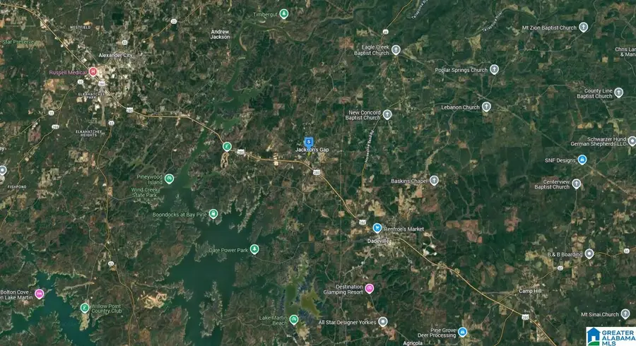 209 DEPOT AVENUE, Jacksons Gap, AL 36861 - #3