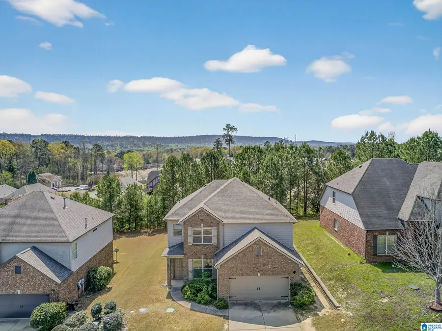 6741 SOUTHERN TRACE CIRCLE, Leeds, AL 35094 - #3