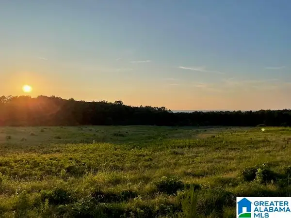 0 JONES CHAPEL LOOP ROAD, Springville, AL 35146