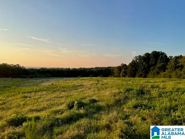 0 JONES CHAPEL LOOP ROAD, Springville, AL 35146 - #2