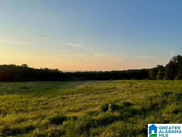 0 JONES CHAPEL LOOP ROAD, Springville, AL 35146 - #3