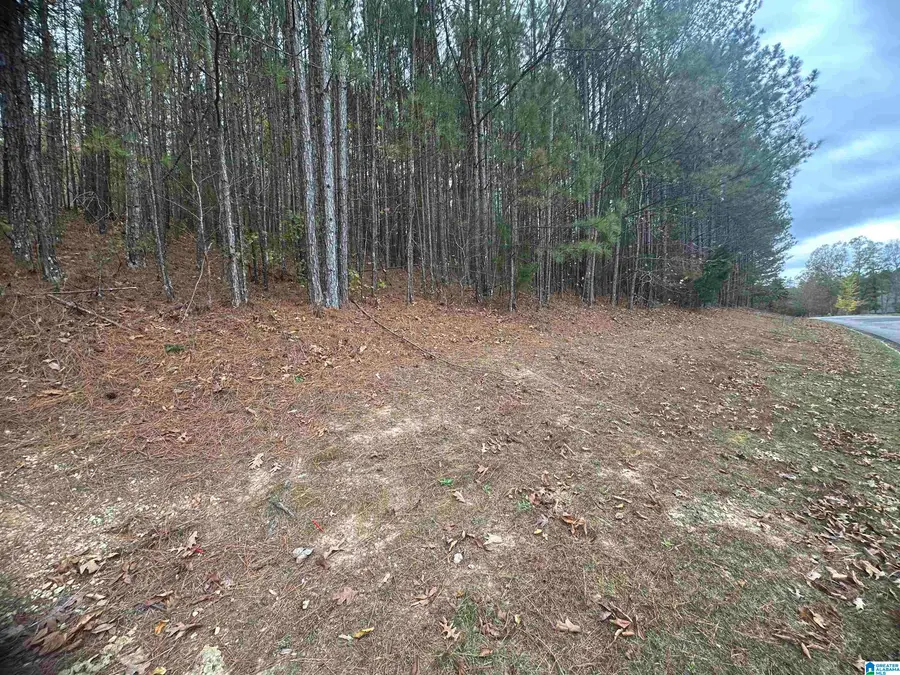 1166 SAINT ANDREWS PARKWAY, Oneonta, AL 35121 - #3