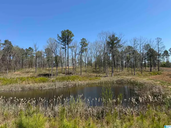 0 COUNTY ROAD 51, Westover, AL 35186