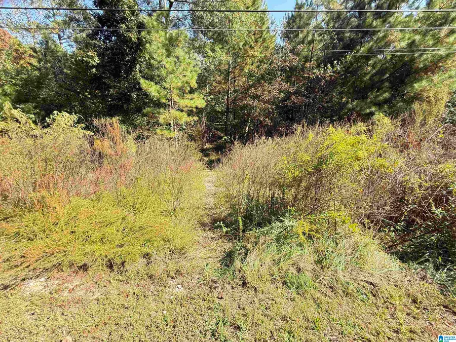 115 PARKWOOD WAY, Odenville, AL 35120 - #3