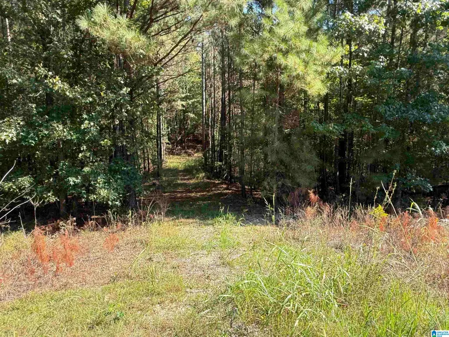 155 PARKWOOD WAY, Odenville, AL 35120 - #3