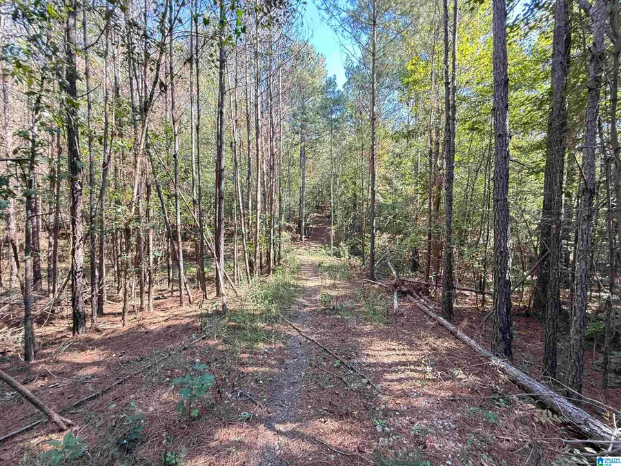 175 PARKWOOD WAY, Odenville, AL 35120 - #3