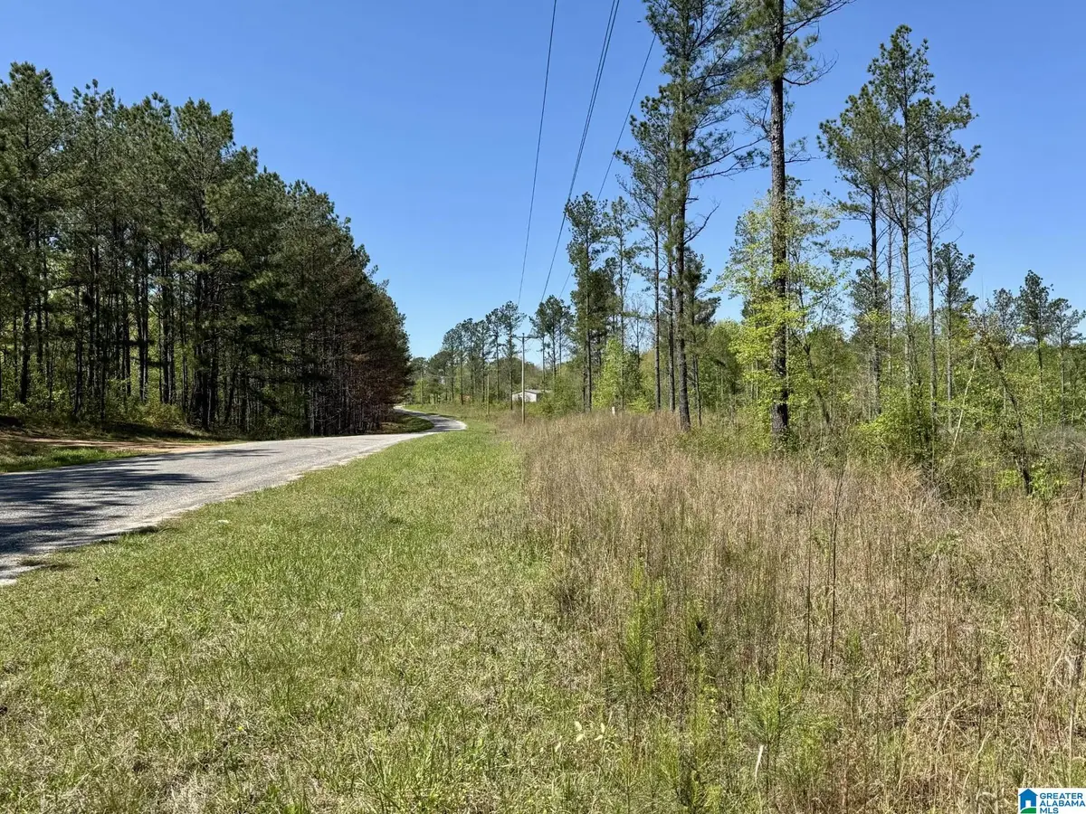 Tract 1 COUNTY ROAD 268, Roanoke, AL 36274 - #1