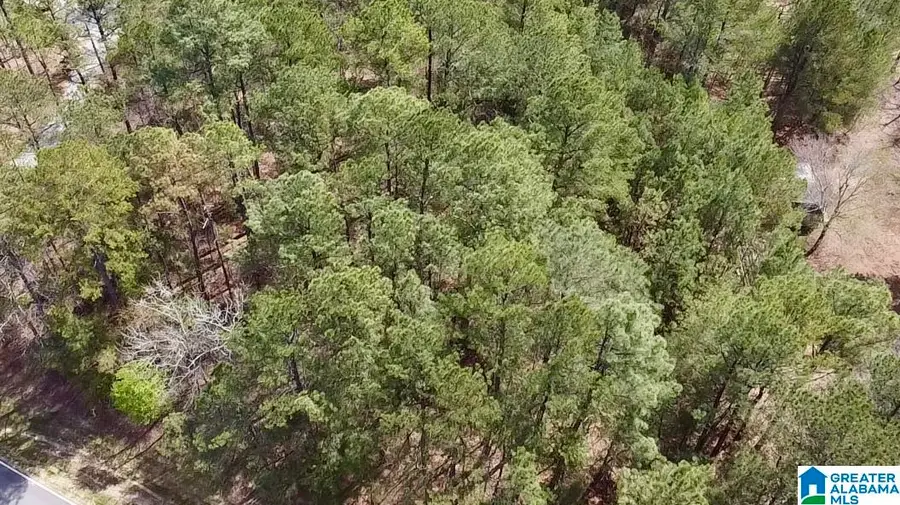 11490 HIGHWAY 55, Westover, AL 35147 - #2