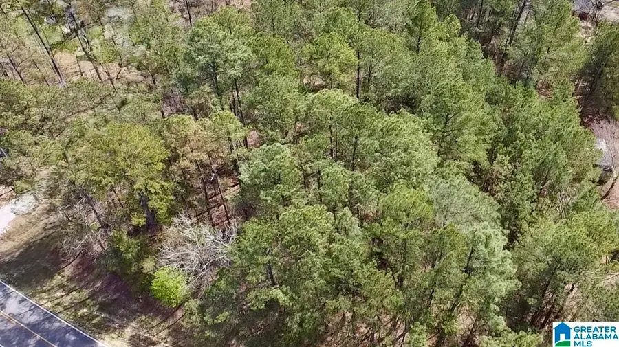 11490 HIGHWAY 55, Westover, AL 35147 - #3