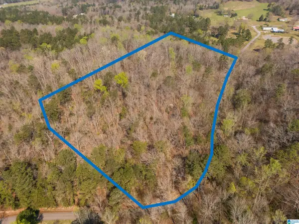 12 Acres ALLISON LANE, Piedmont, AL 36272