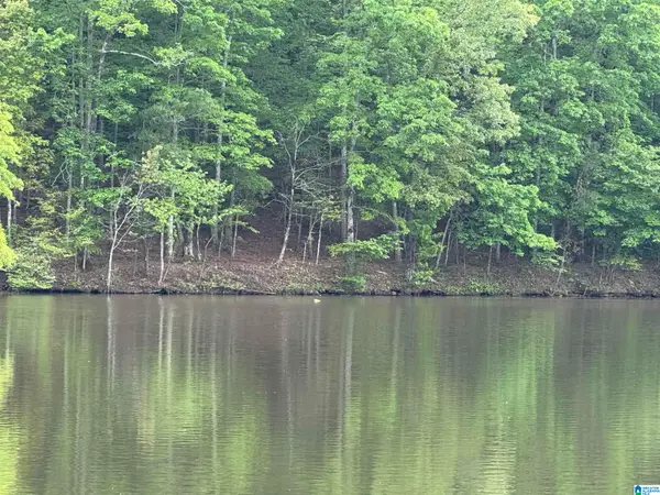 Lot 1 OLD HIGHWAY 431, Wedowee, AL 36278