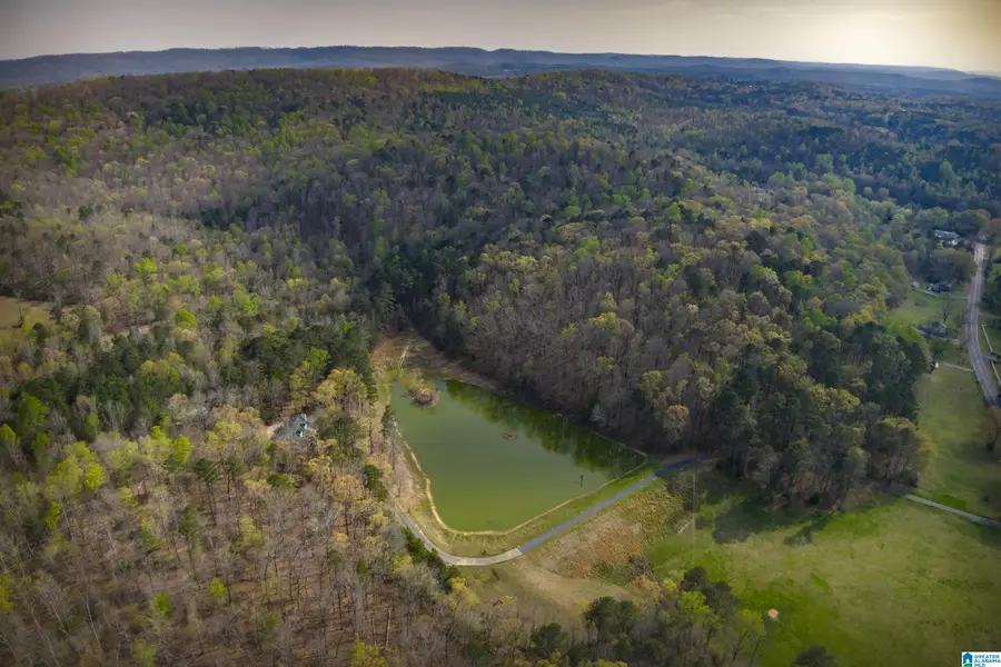 32728 US HIGHWAY 411, Ashville, AL 35953 - #2