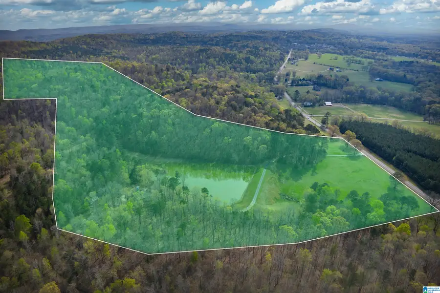 32728 US HIGHWAY 411, Ashville, AL 35953 - #3