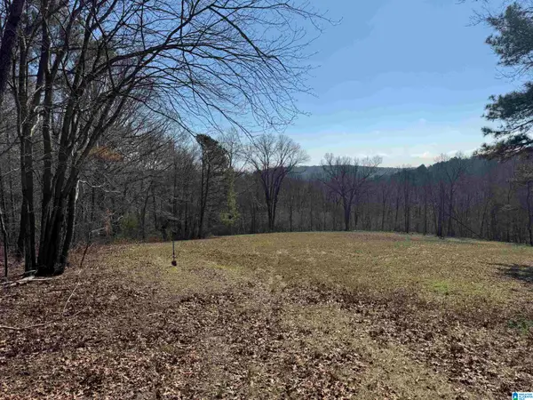 0 COUNTY ROAD 57, Ft payne, AL 35967