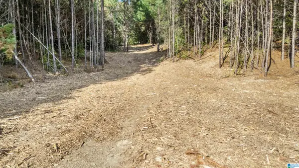 0 RED VALLEY ROAD, Remlap, AL 35133