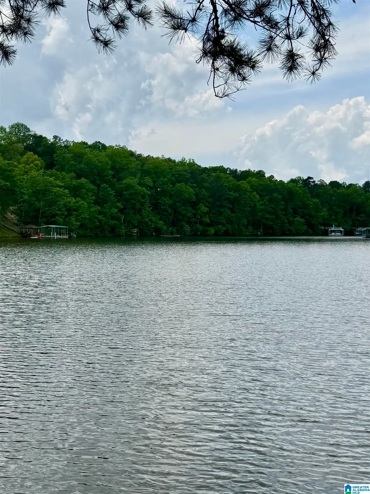 Lot 3 OLD HIGHWAY 431, Wedowee, AL 36278 - #1