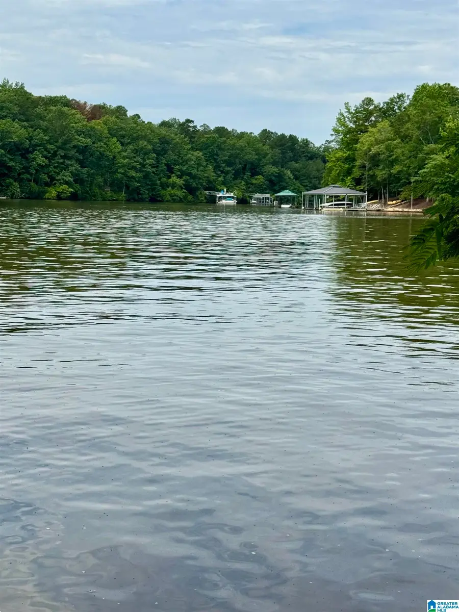 Lot 3 OLD HIGHWAY 431, Wedowee, AL 36278 - #2