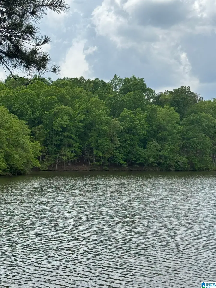 Lot 3 OLD HIGHWAY 431, Wedowee, AL 36278 - #3