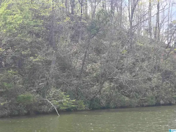 Lot 1 EAGLE MOUNTAIN ROAD, Rockford, AL 35136