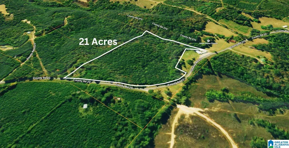 TBD1 COUNTY ROAD 20, Haleyville, AL 35565 - #1
