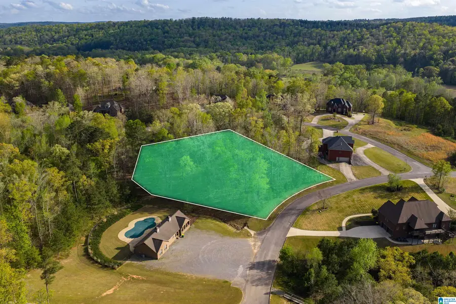 80 PRESERVE WAY, Springville, AL 35146 - #2