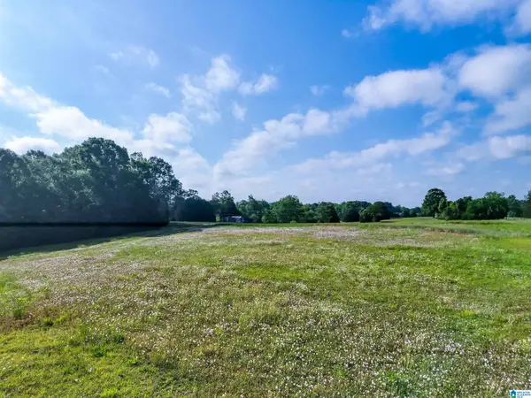 80 BRADY ROAD, Hope hull, AL 36043