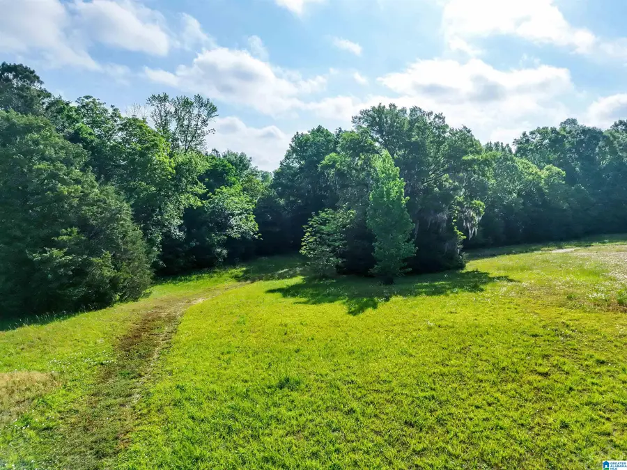 80 BRADY ROAD, Hope Hull, AL 36043 - #3