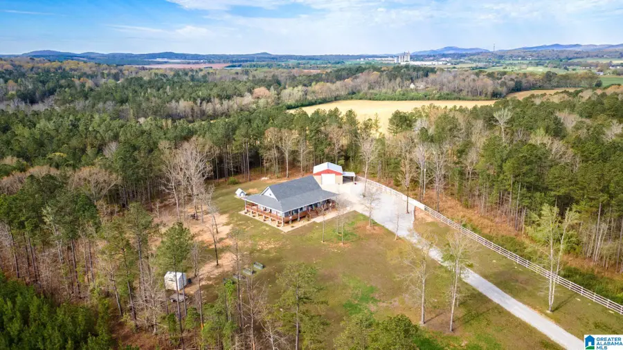 700 CHINNABEE ROAD, Munford, AL 36268 - #2