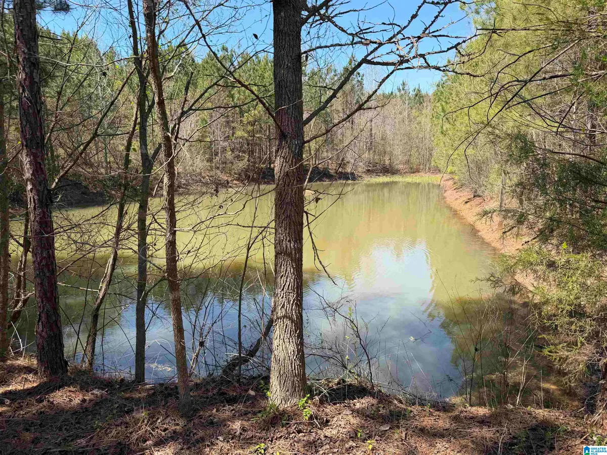 0 COUNTY ROAD 79, Wadley, AL 36276 - #1