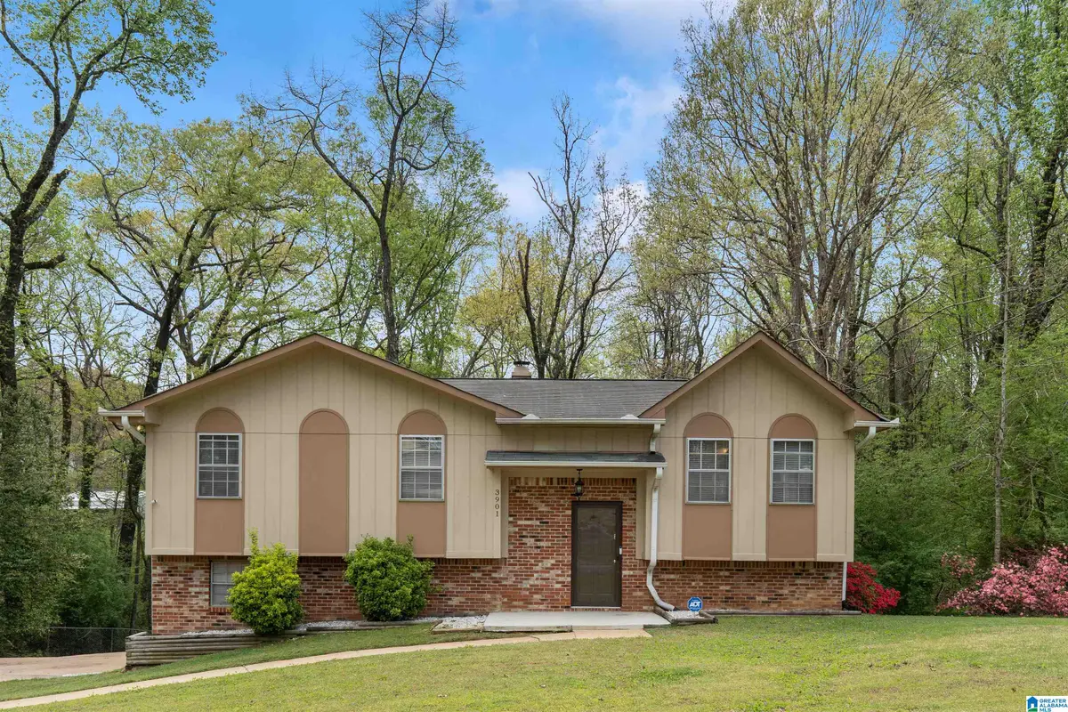 3901 DEBBY DRIVE, Adamsville, AL 35005 - #1