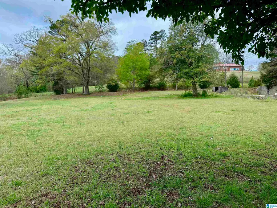 MITCHELL LANE, Ashland, AL 36251 - #2