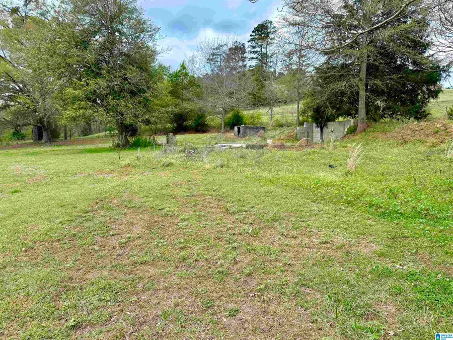 MITCHELL LANE, Ashland, AL 36251 - #3