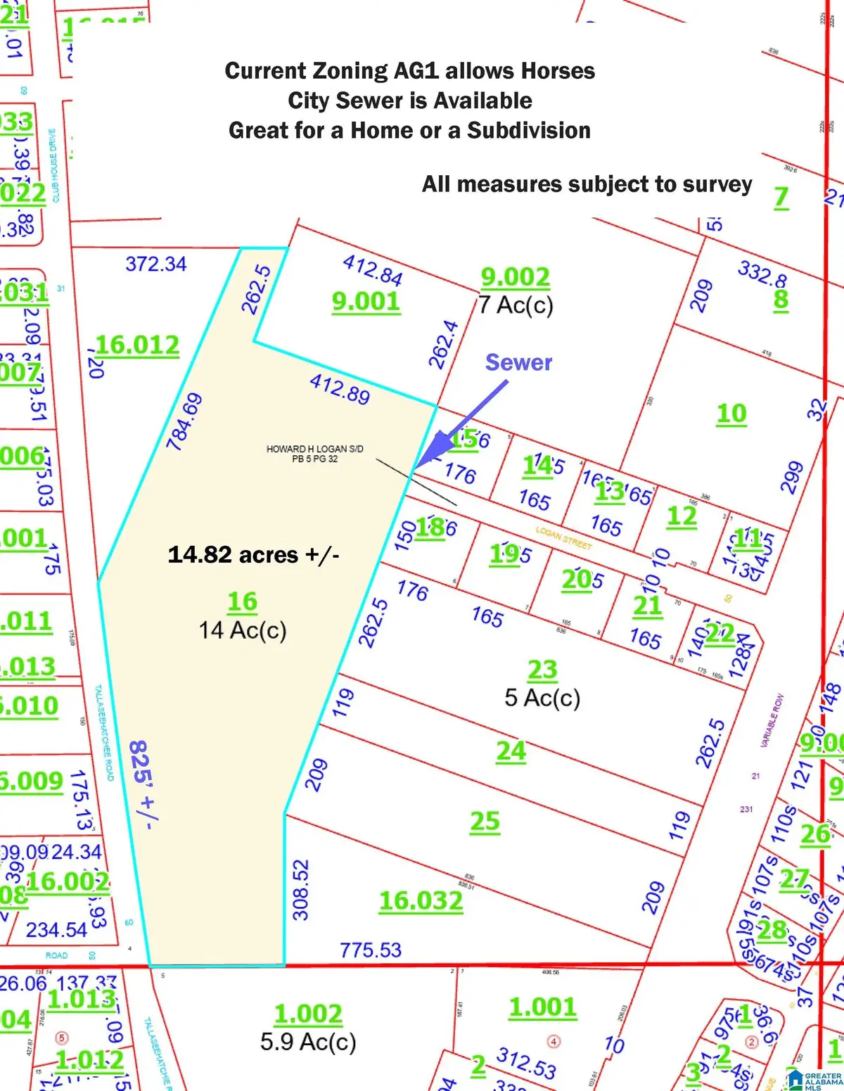 0 TALLASAHACHEE ROAD, Sylacauga, AL 35150 - #1