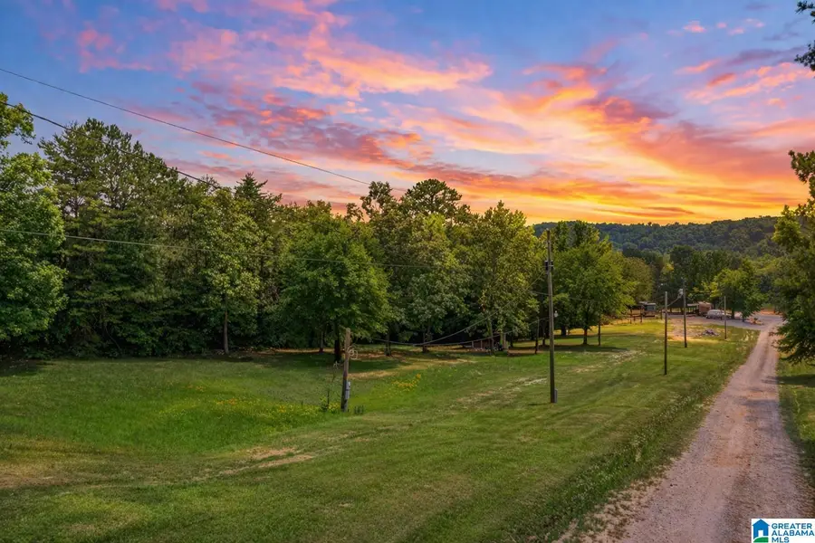 0000 HURRICANE VALLEY ROAD, Brookwood, AL 35444 - #2