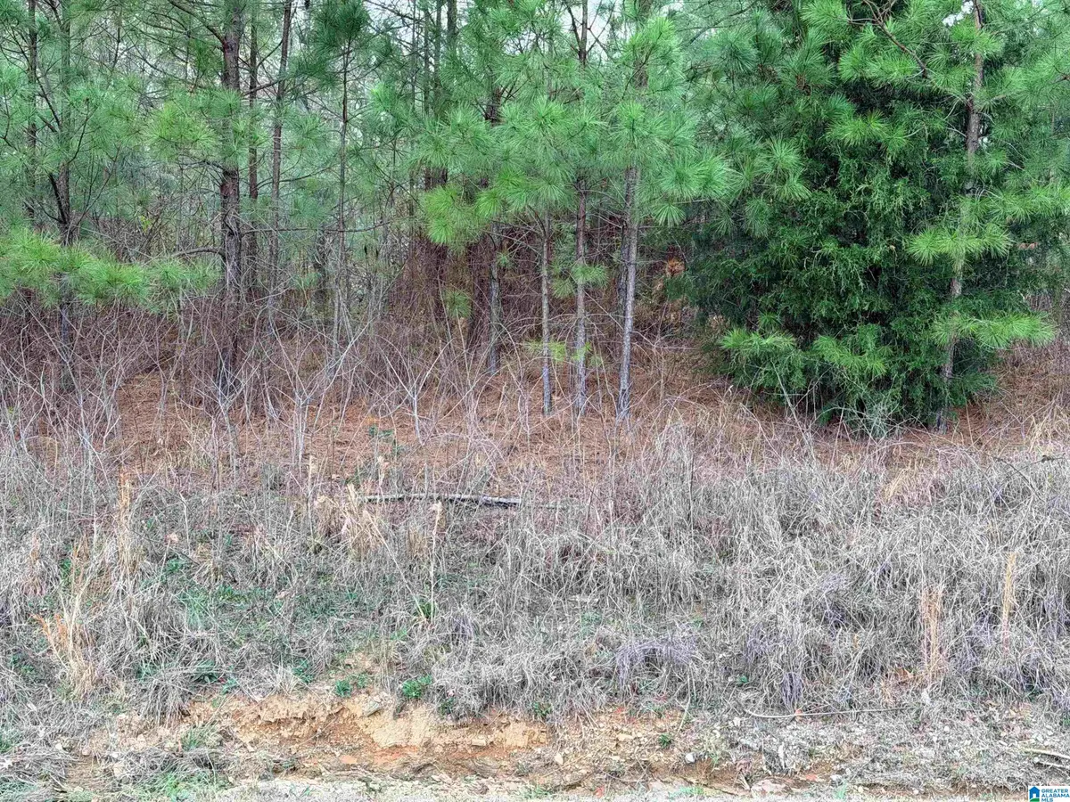 2012 SHANNON ROAD, Hoover, AL 35226 - #1