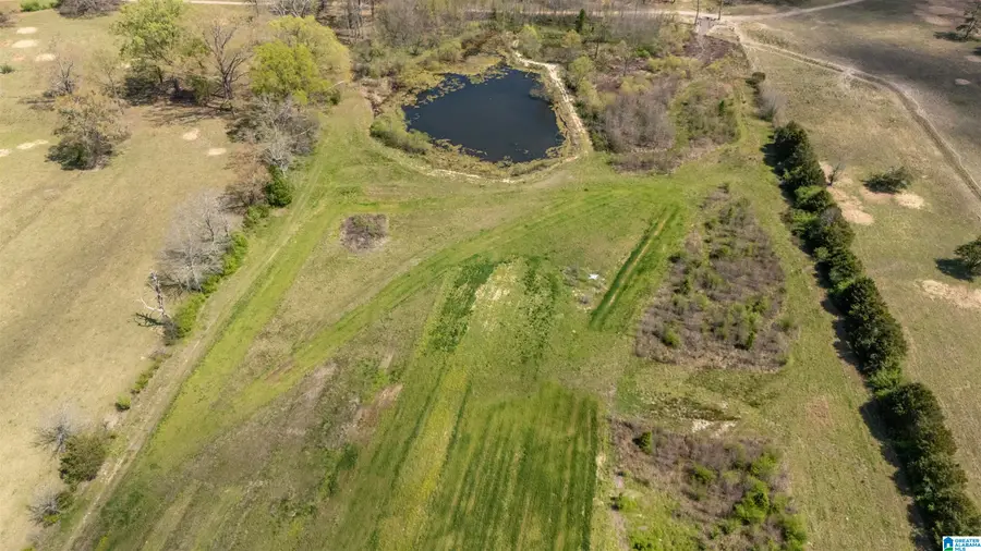 67490 MAIN STREET, Blountsville, AL 35031 - #2