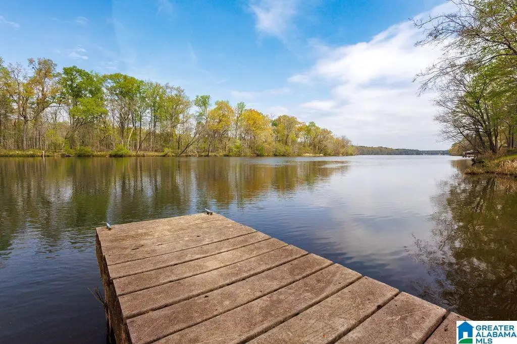 960 RIVER RUN ROAD, Childersburg, AL 35044 - #1