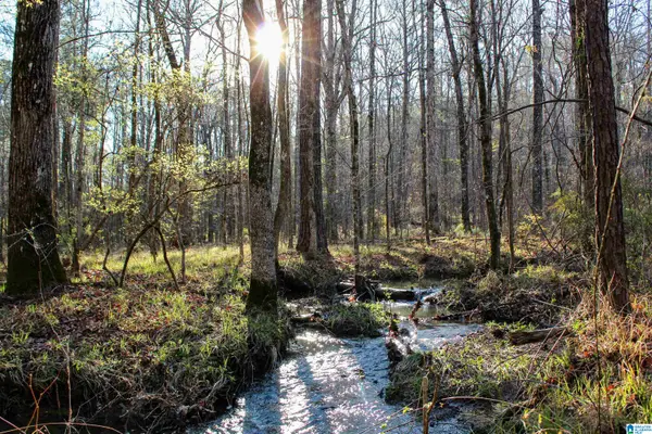 0 INDIAN GAP TRAIL, Mccalla, AL 35111