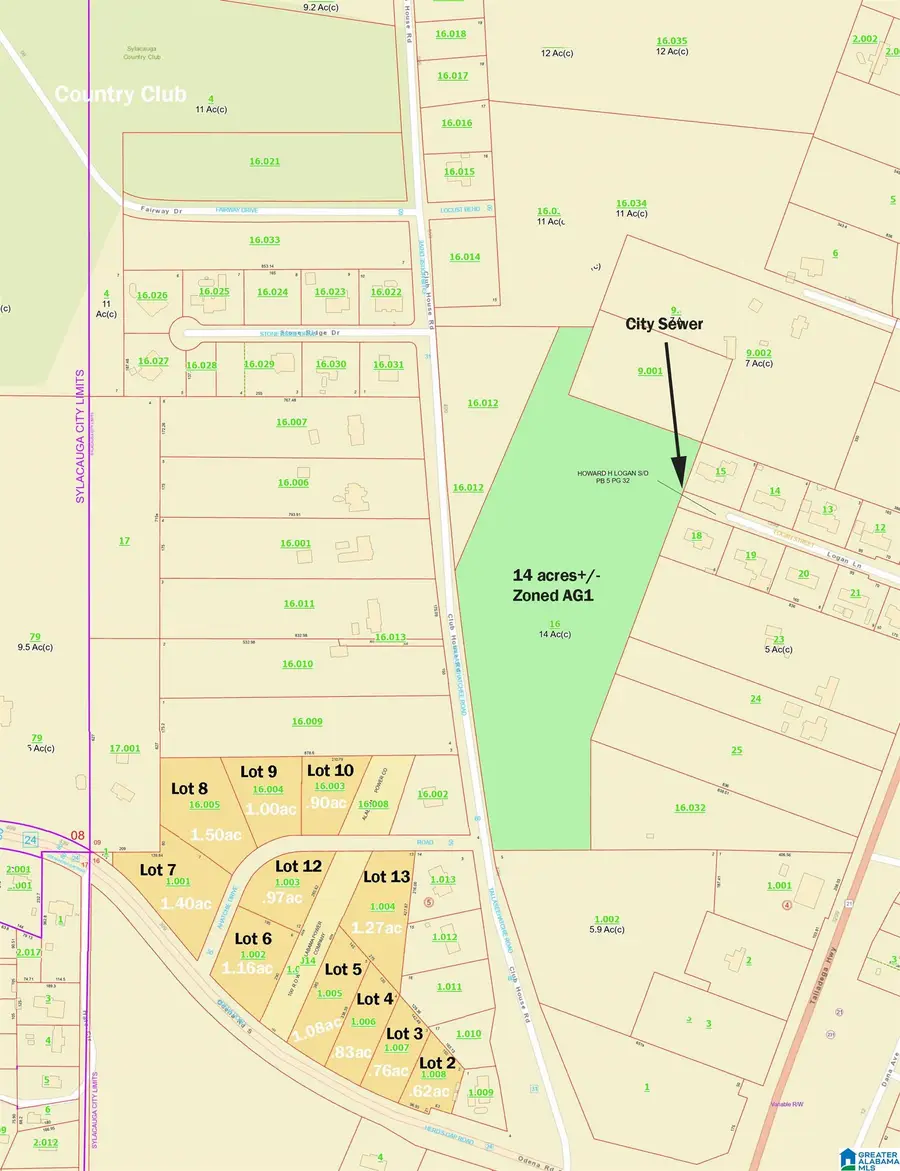 01 CLUB HOUSE ROAD, Sylacauga, AL 35150 - #3