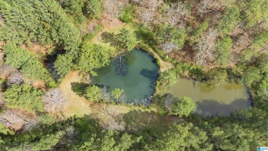 4150 BURR DRIVE, Brookside, AL 35214 - #3