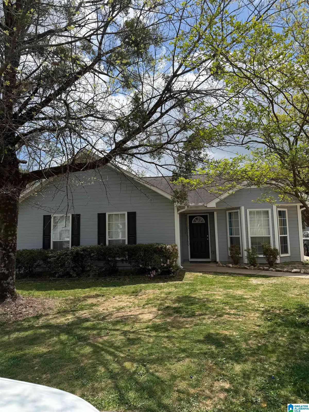 117 PARK PLACE CIRCLE, Alabaster, AL 35007 - #1