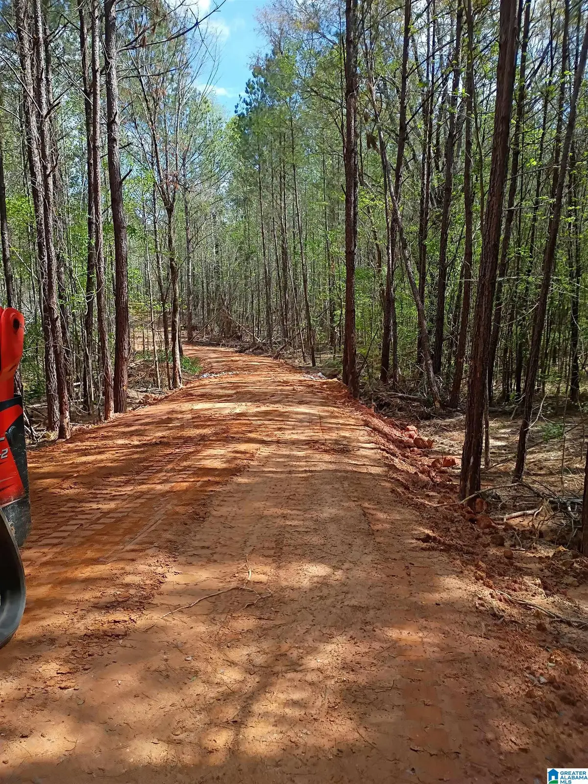 14 COUNTY ROAD 150, Weogufka Marble Valley, AL 35151 - #1