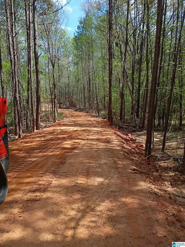 14 COUNTY ROAD 150, Weogufka, AL 35151