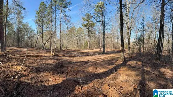 088 MCKESIE STREET, Riverside, AL 35135