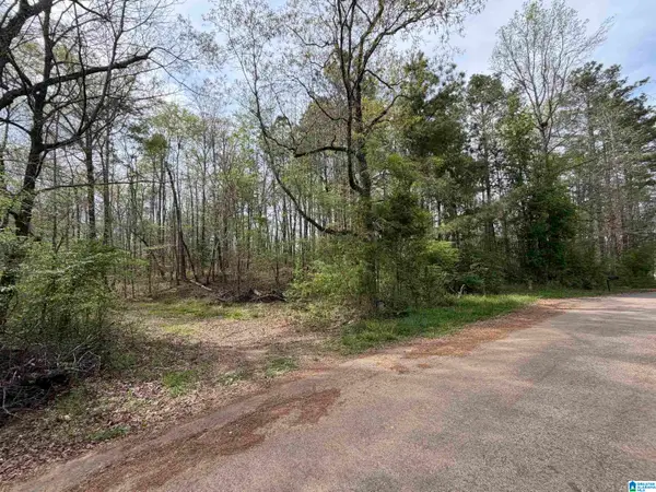 0 JAMES LAKE ROAD, Trussville, AL 35173