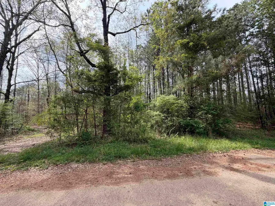 0 JAMES LAKE ROAD, Trussville, AL 35173 - #2