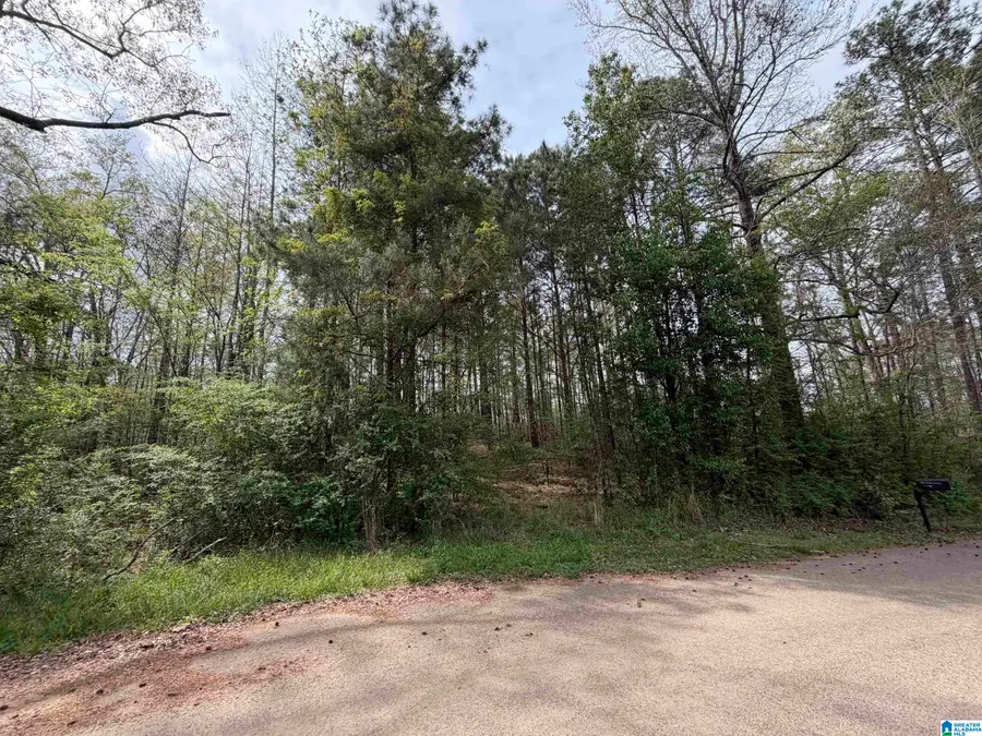 0 JAMES LAKE ROAD, Trussville, AL 35173 - #3