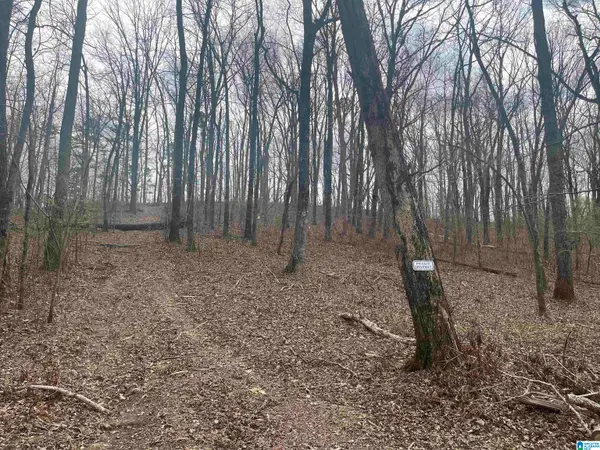 6446 TRUSSVILLE CLAY ROAD, Trussville, AL 35173