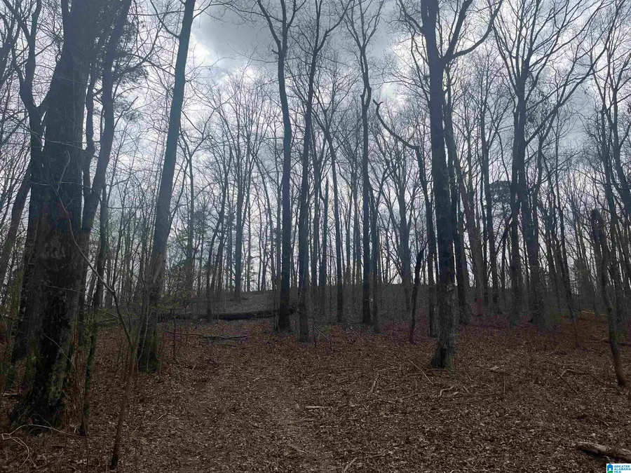 6446 TRUSSVILLE CLAY ROAD, Trussville, AL 35173 - #2