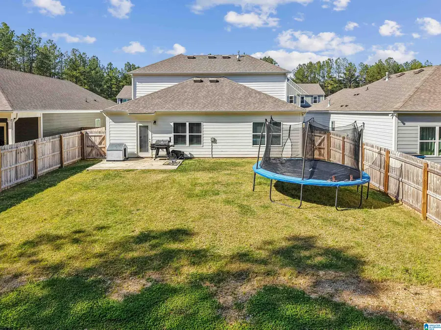 10005 CHELSEA PARK TRAIL, Chelsea, AL 35043 - #2